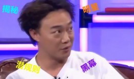 娱乐新闻爆料圈有哪些明星,揭秘近期热门明星动态