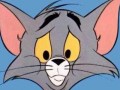 猫鼠天使汤姆爆料视频,视频爆料背后的惊人真相