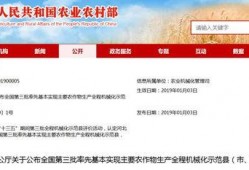 辛集新闻头条爆料群微信,揭秘本地热点事件，聚焦民生关注焦点