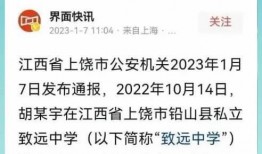 爆料致远中学事件视频大全,揭秘校园风云背后的真相