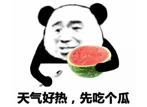 吃瓜表情啥意思,网络热词背后的文化现象